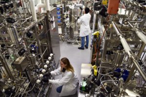 Pharma Fights the Virus: Culture, Collaboration, and Transparency into Innovation